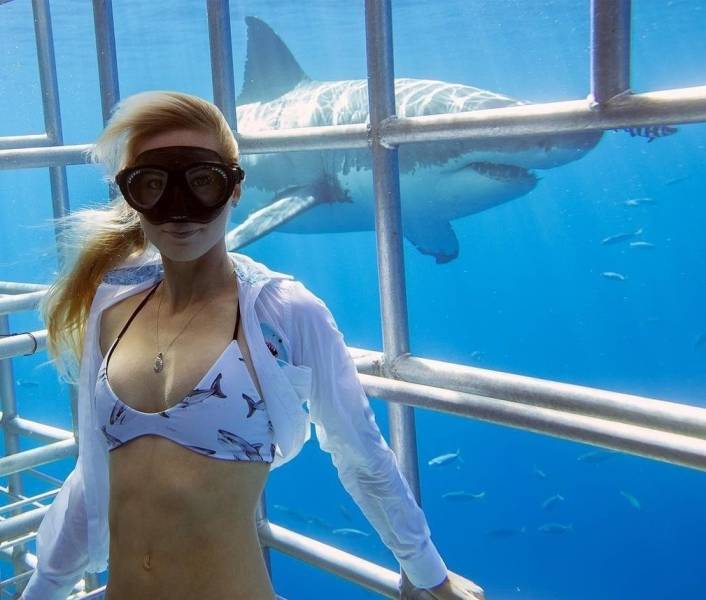 daily picdump 100 pics 45.html - 100 HD Photos | Premium Gallery 2019