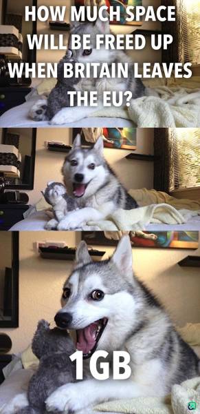 page,7,top 250 funny pics of the year 2019.html - 1 HD Photos | Premium Gallery 2019