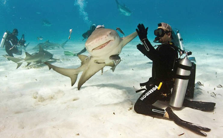 Photographers Who Found THE Perfect Moments