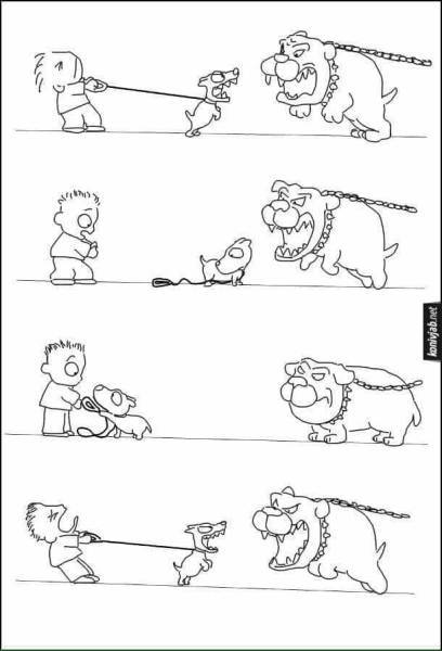 top 250 funny pics of the year 2019.html - 1 HD Photos | Premium Gallery 2019