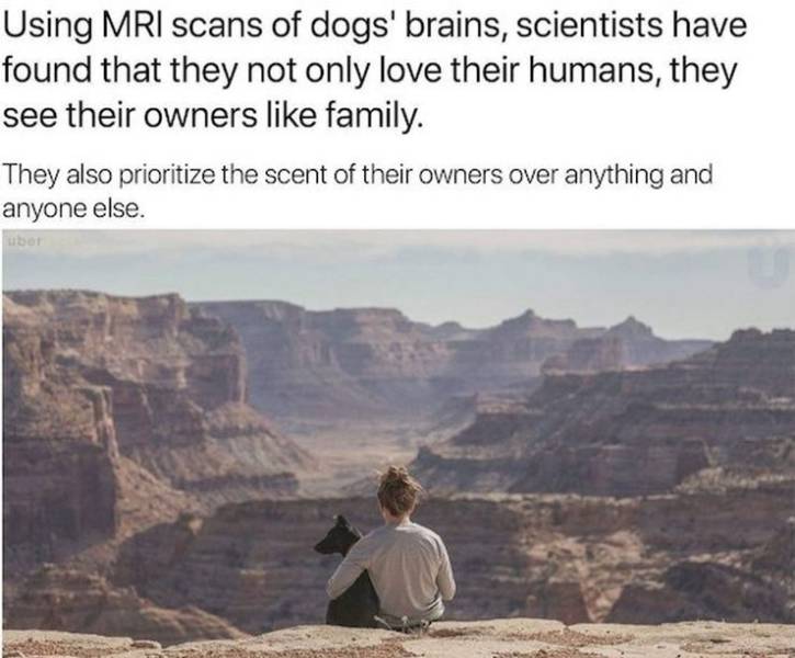daily picdump 92 pics 9.html - 92 HD Photos | Premium Gallery 2019