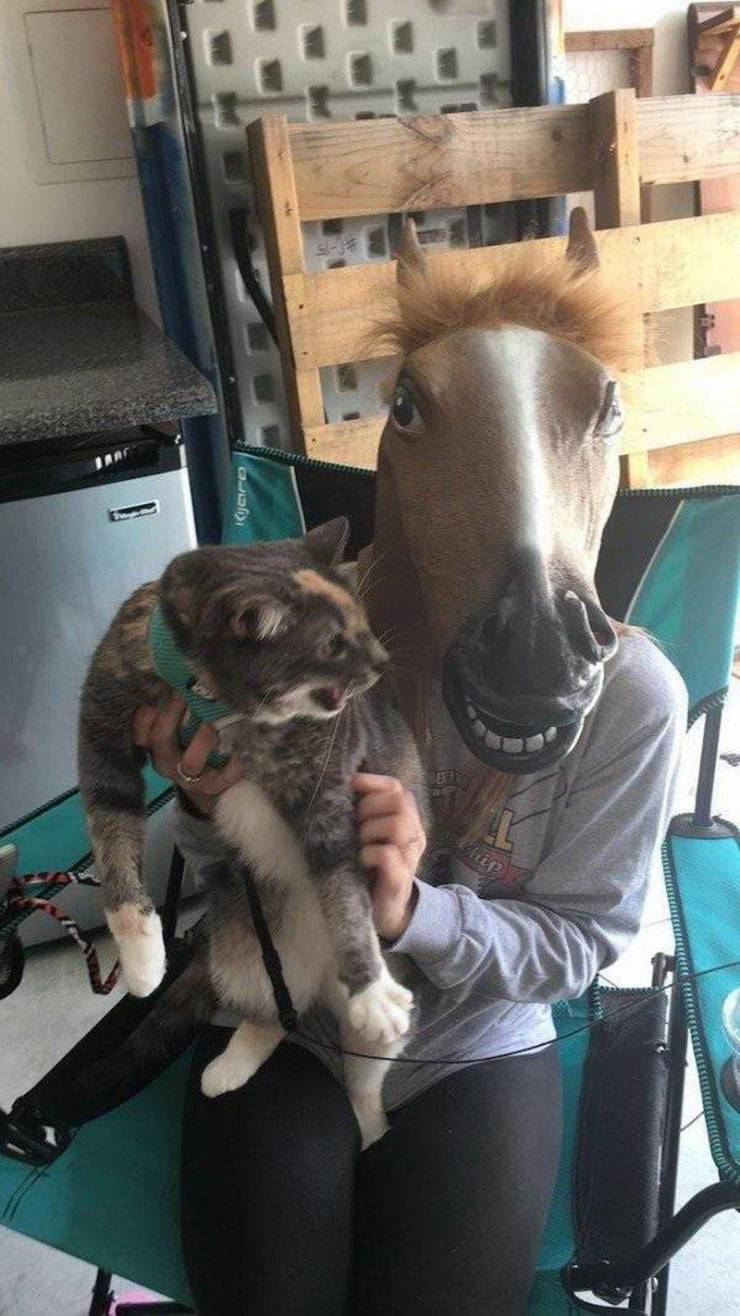 Daily Picdump