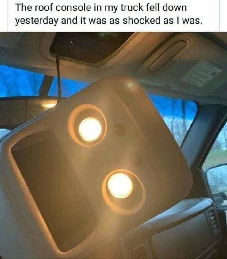 daily picdump 92 pics 9.html - 92 HD Photos | Premium Gallery 2019