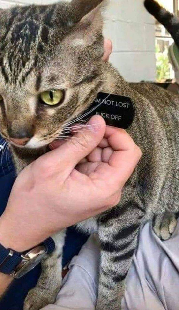 daily picdump 92 pics 9.html - 92 HD Photos | Premium Gallery 2019