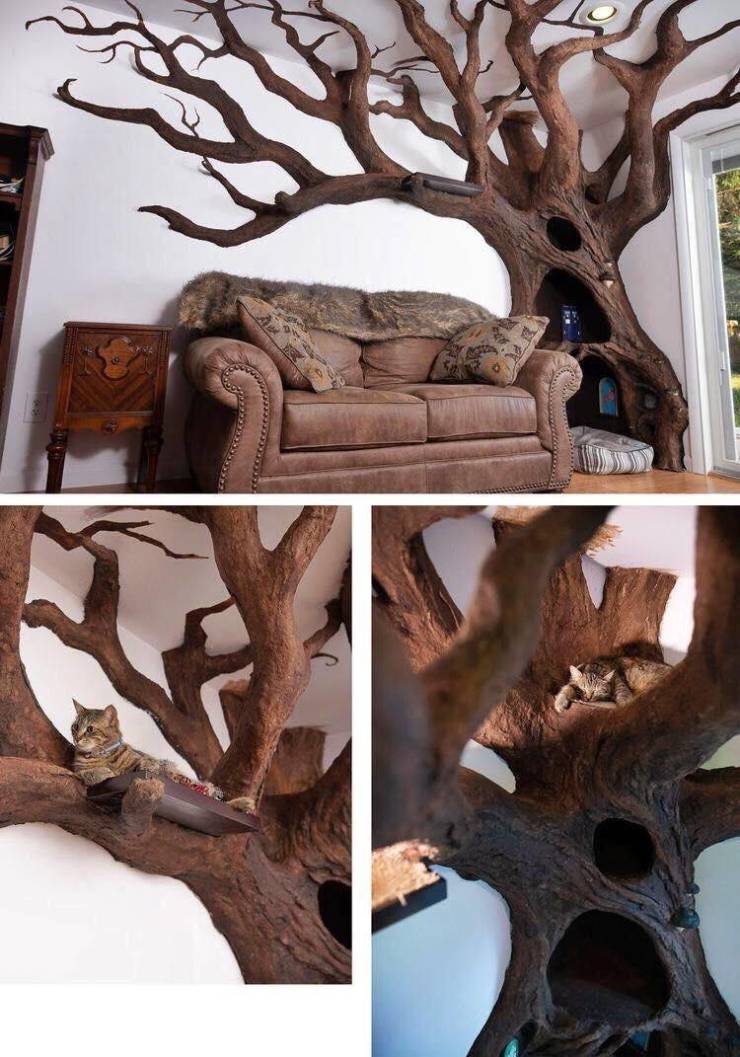 daily picdump 92 pics 9.html - 92 HD Photos | Premium Gallery 2019
