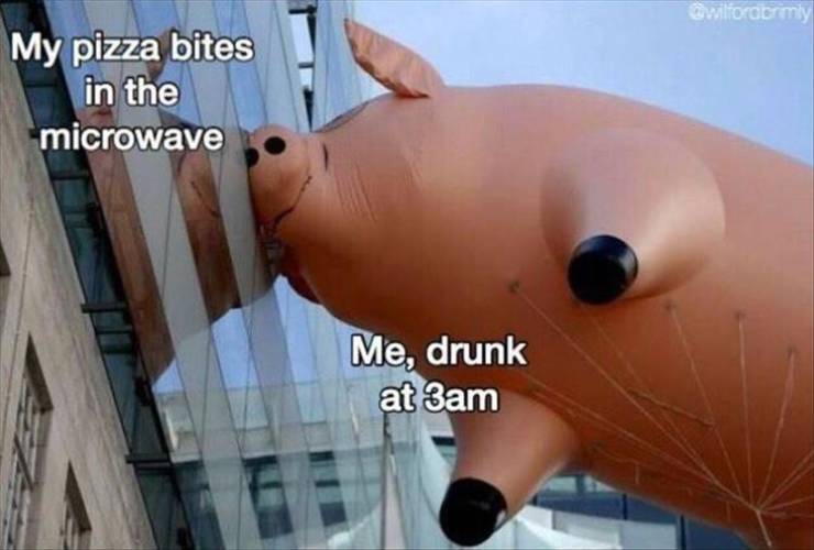 funny picdump 52 pics 4.html - 52 HD Photos | Premium Gallery 2019
