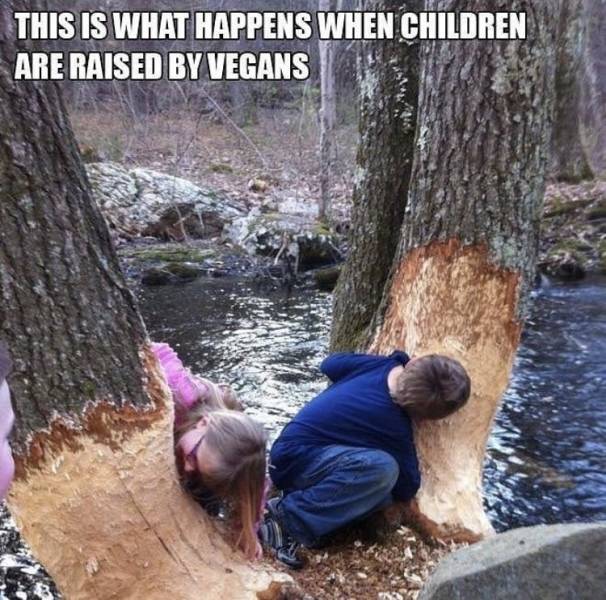 funny picdump 52 pics 4.html - 52 HD Photos | Premium Gallery 2019