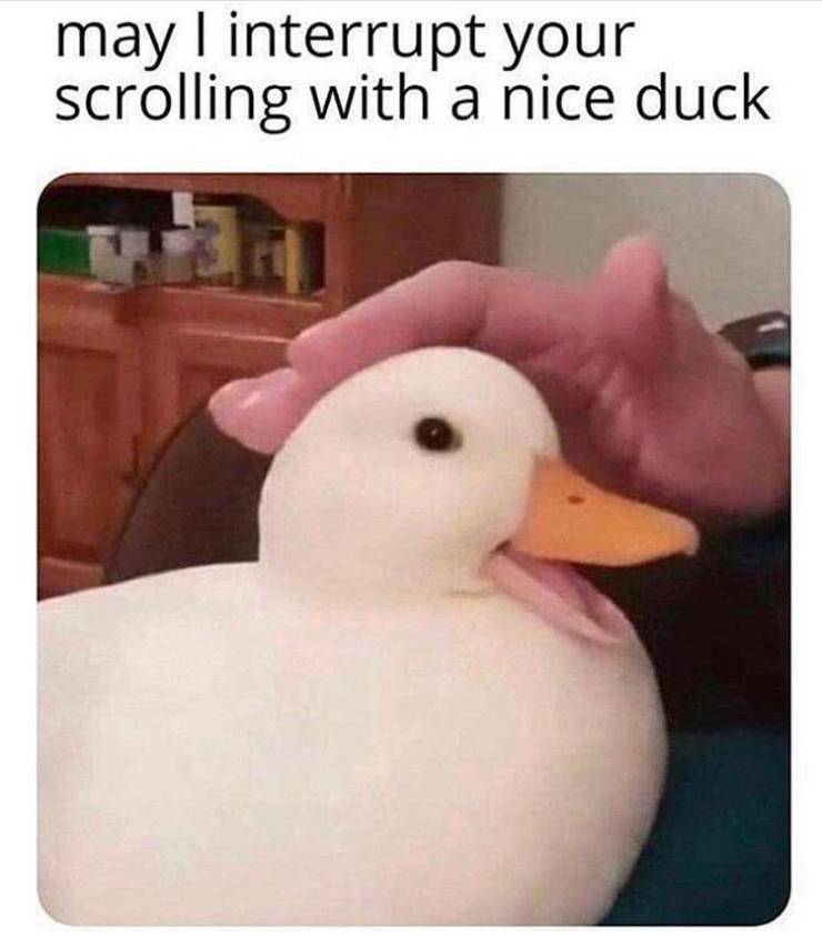 funny picdump 52 pics 4.html - 52 HD Photos | Premium Gallery 2019