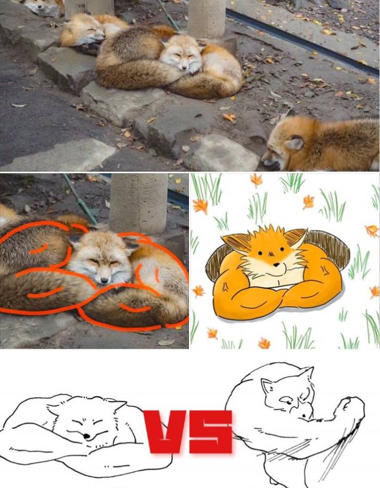 funny picdump 52 pics 4.html - 52 HD Photos | Premium Gallery 2019