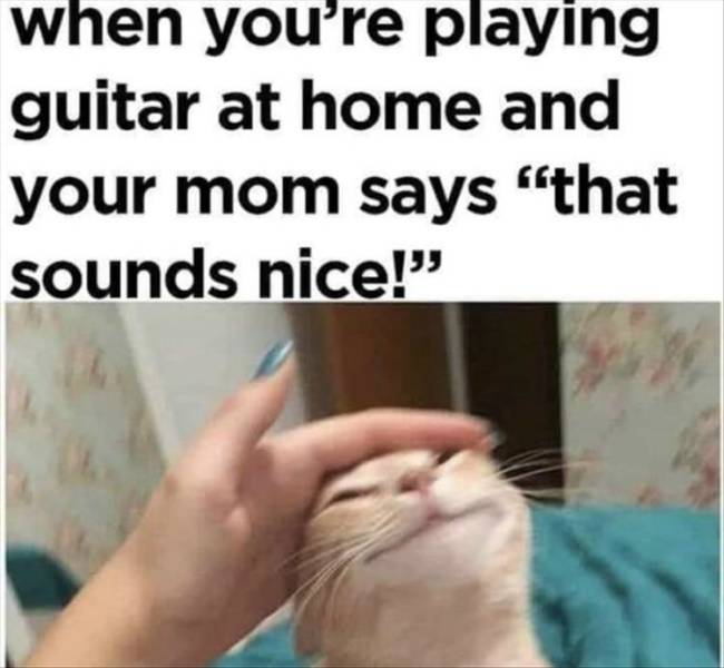funny picdump 54 pics 4.html - 54 HD Photos | Premium Gallery 2019