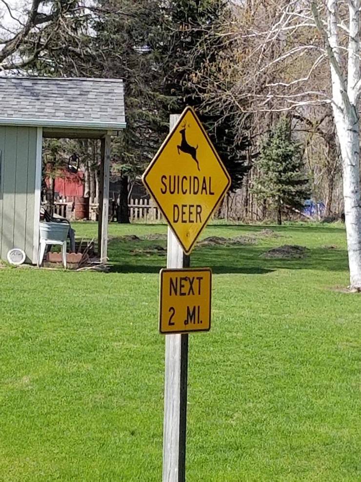 funny picdump 54 pics 4.html - 54 HD Photos | Premium Gallery 2019