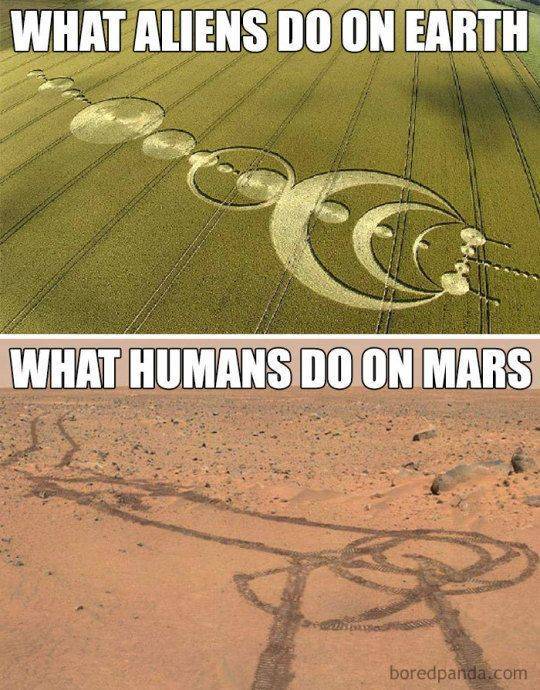 funny picdump 54 pics 4.html - 54 HD Photos | Premium Gallery 2019