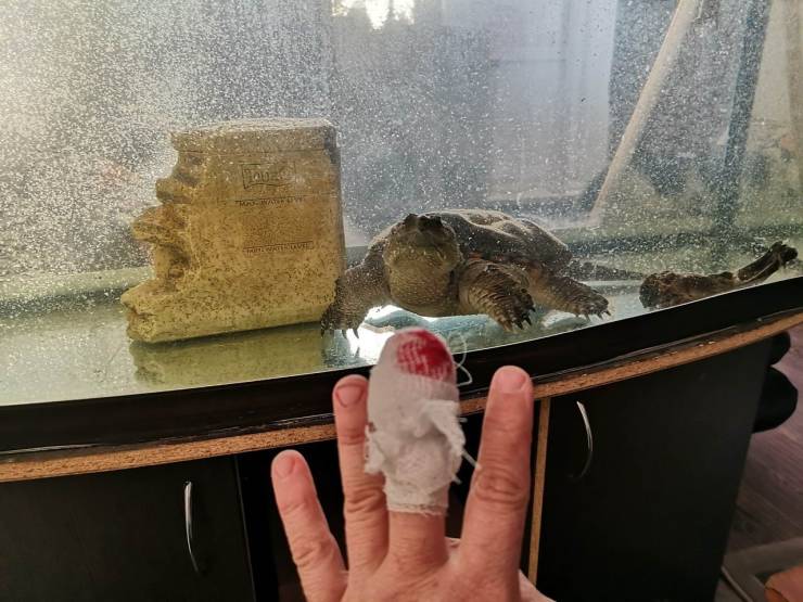 daily picdump 100 pics 32.html - 100 HD Photos | Premium Gallery 2019