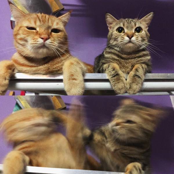 Daily Picdump