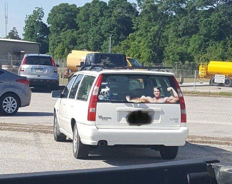 daily picdump 100 pics 32.html - 100 HD Photos | Premium Gallery 2019