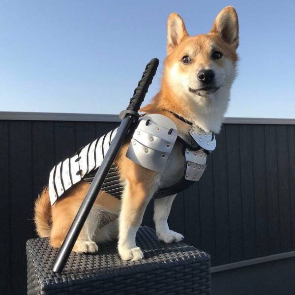 daily picdump 100 pics 32.html - 100 HD Photos | Premium Gallery 2019