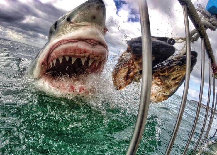 daily picdump 100 pics 32.html - 100 HD Photos | Premium Gallery 2019