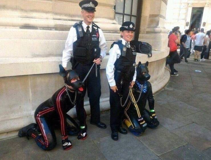 daily picdump 100 pics 32.html - 100 HD Photos | Premium Gallery 2019