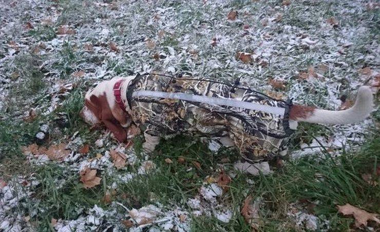 daily picdump 100 pics 32.html - 100 HD Photos | Premium Gallery 2019