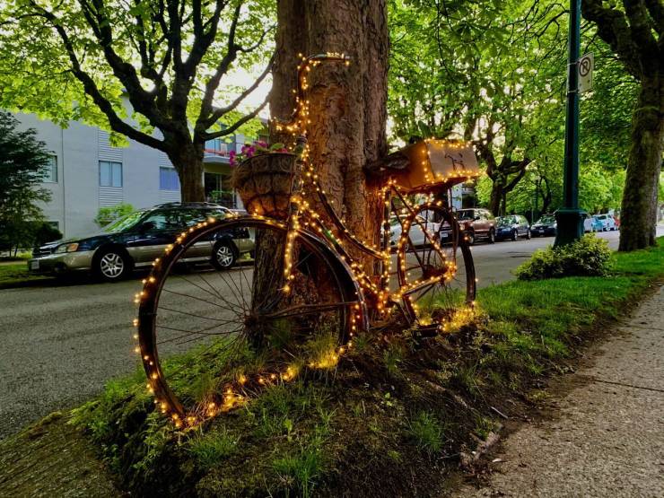 daily picdump 100 pics 32.html - 100 HD Photos | Premium Gallery 2019
