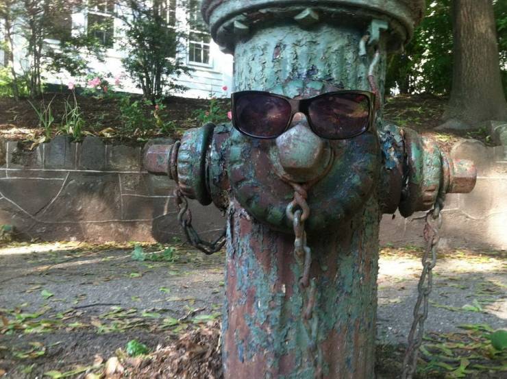 daily picdump 100 pics 32.html - 100 HD Photos | Premium Gallery 2019