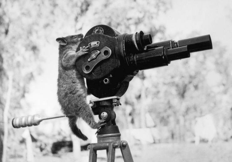 daily picdump 100 pics 32.html - 100 HD Photos | Premium Gallery 2019