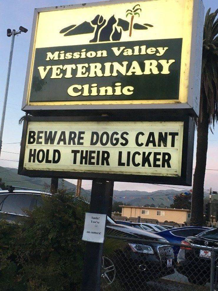 Daily Picdump