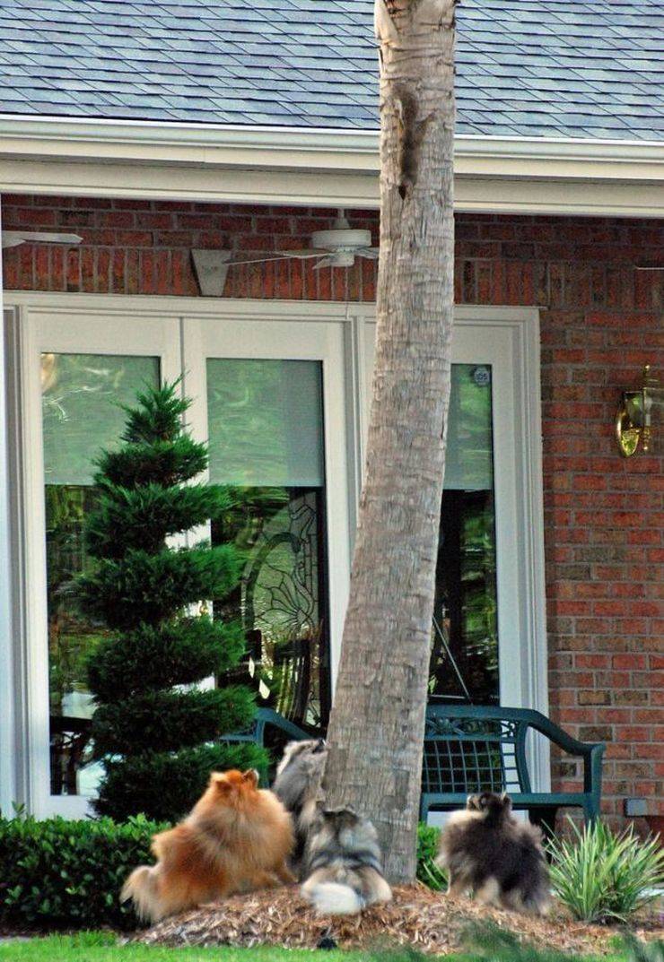 Daily Picdump