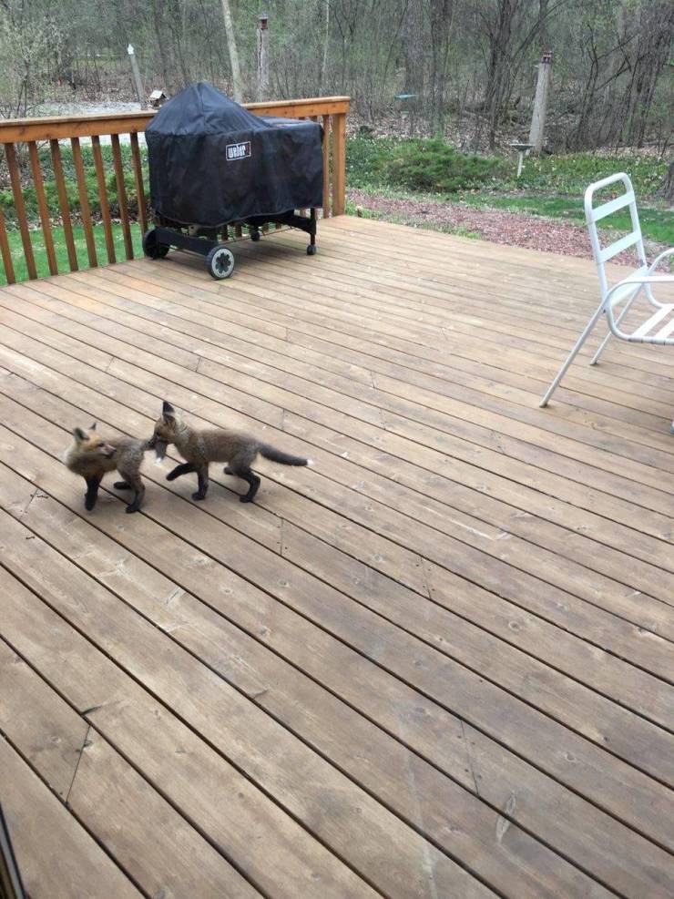 Daily Picdump