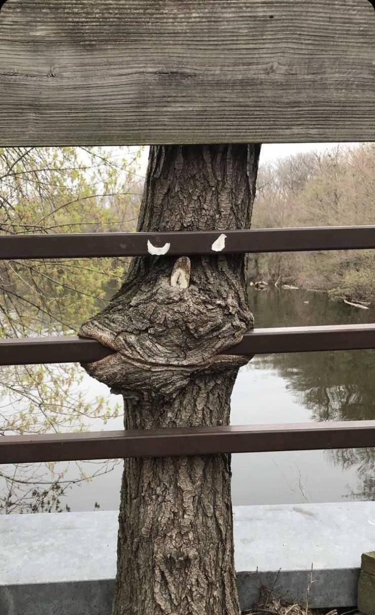 daily picdump 100 pics 32.html - 100 HD Photos | Premium Gallery 2019
