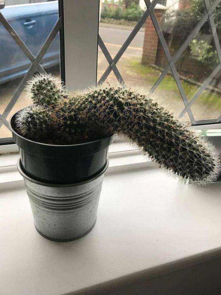 daily picdump 100 pics 32.html - 100 HD Photos | Premium Gallery 2019