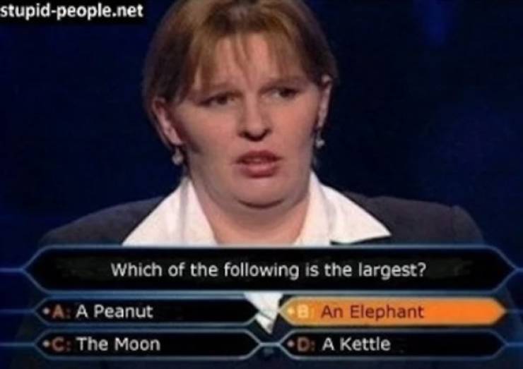 Funny Picdump