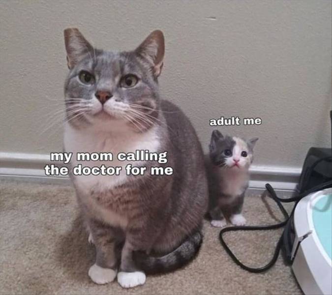 funny picdump 54 pics 10.html - 54 HD Photos | Premium Gallery 2019