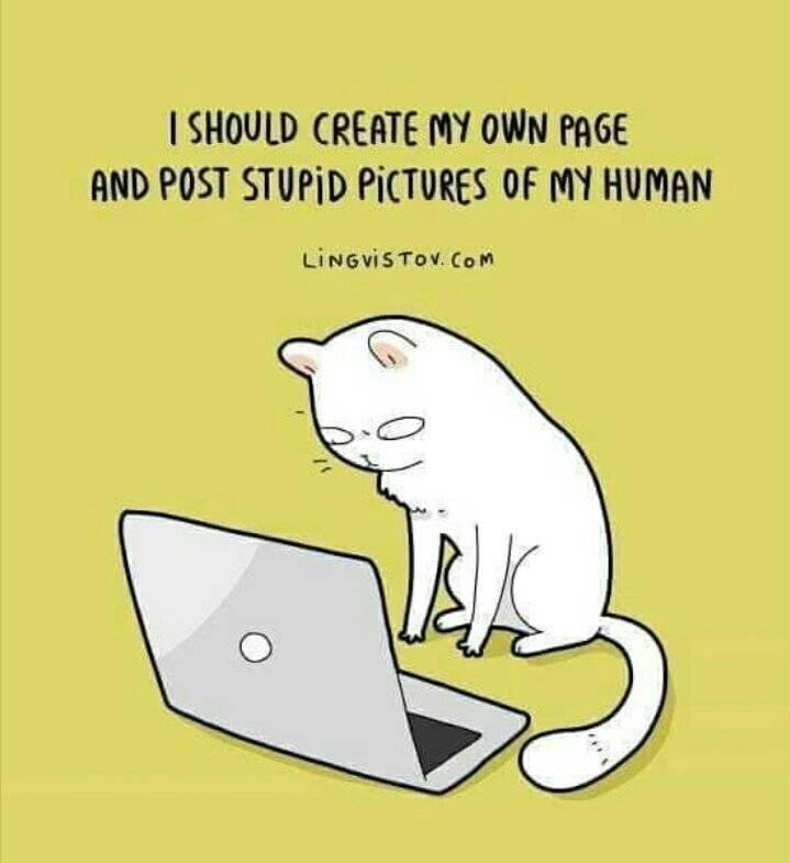 funny picdump 54 pics 10.html - 54 HD Photos | Premium Gallery 2019