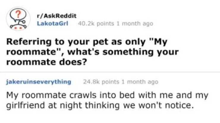 They Knew Exactly How To Respond
