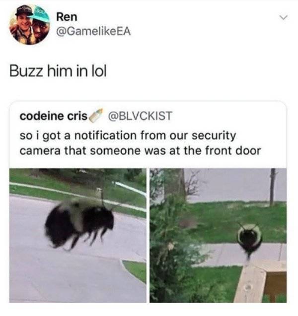 They Knew Exactly How To Respond