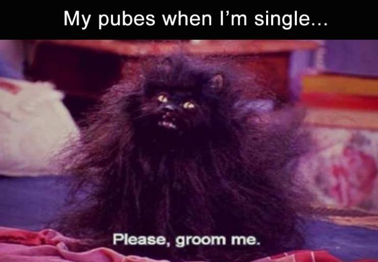 funny picdump 52 pics 21.html - 52 HD Photos | Premium Gallery 2019