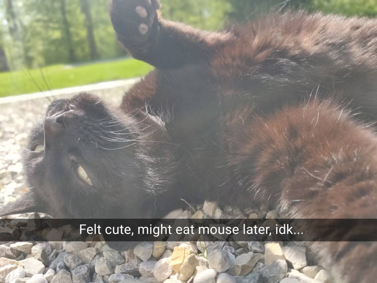 funny picdump 52 pics 21.html - 52 HD Photos | Premium Gallery 2019