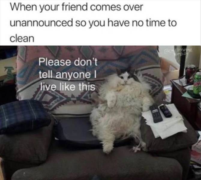 funny picdump 52 pics 21.html - 52 HD Photos | Premium Gallery 2019