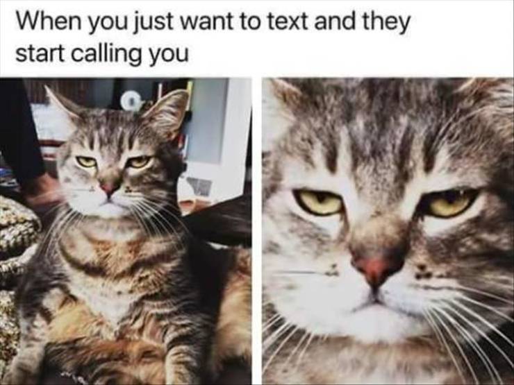 funny picdump 52 pics 21.html - 52 HD Photos | Premium Gallery 2019