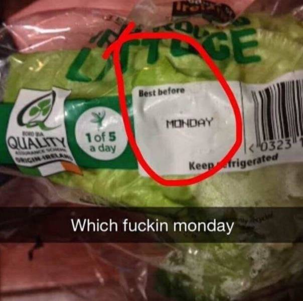 Funny Picdump