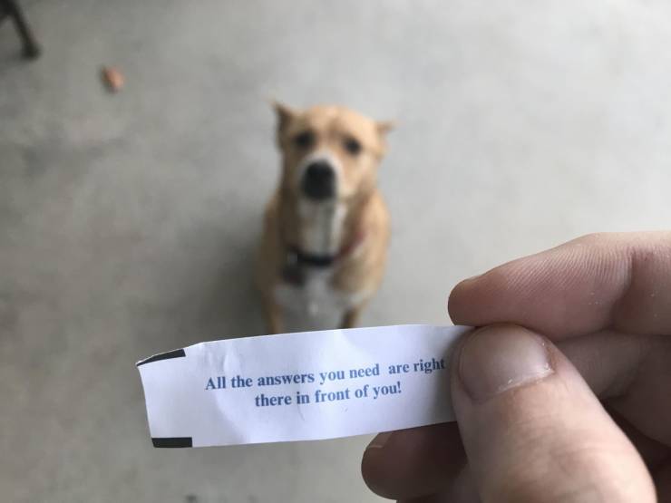 daily picdump 96 pics 40.html - 96 HD Photos | Premium Gallery 2019