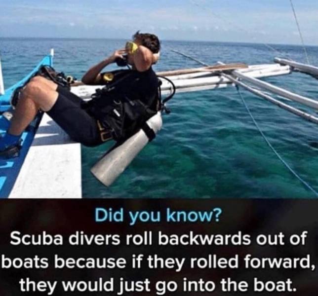 daily picdump 96 pics 40.html - 96 HD Photos | Premium Gallery 2019