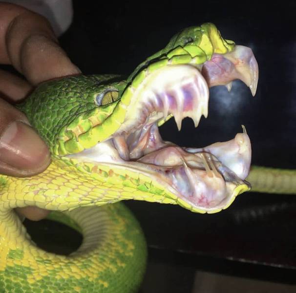 daily picdump 96 pics 40.html - 96 HD Photos | Premium Gallery 2019