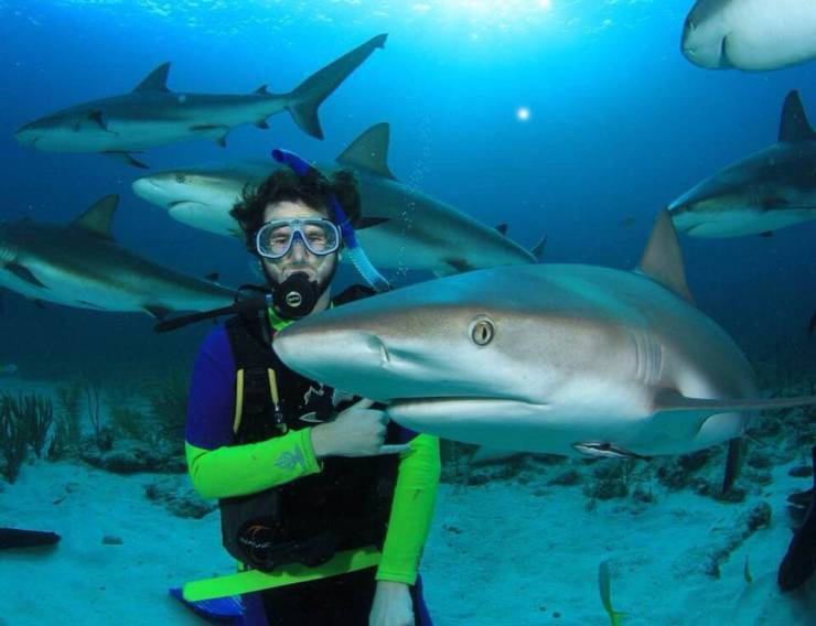 daily picdump 96 pics 40.html - 96 HD Photos | Premium Gallery 2019