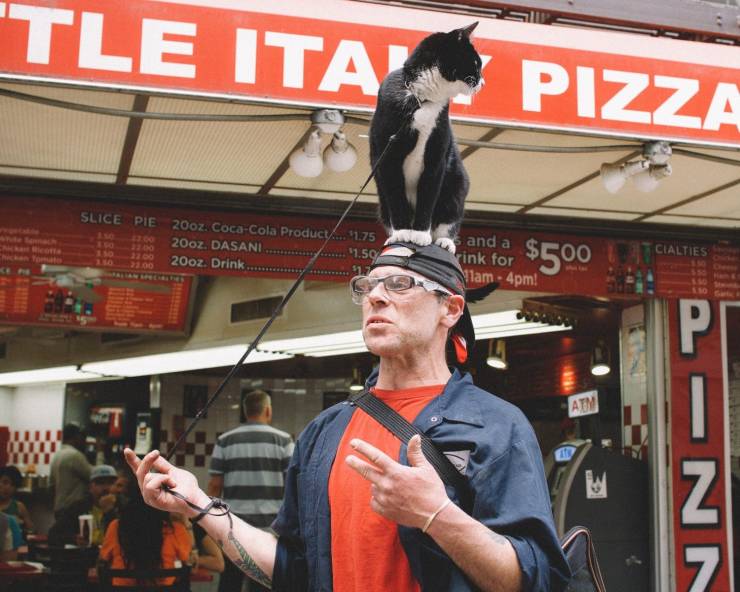 daily picdump 96 pics 40.html - 96 HD Photos | Premium Gallery 2019