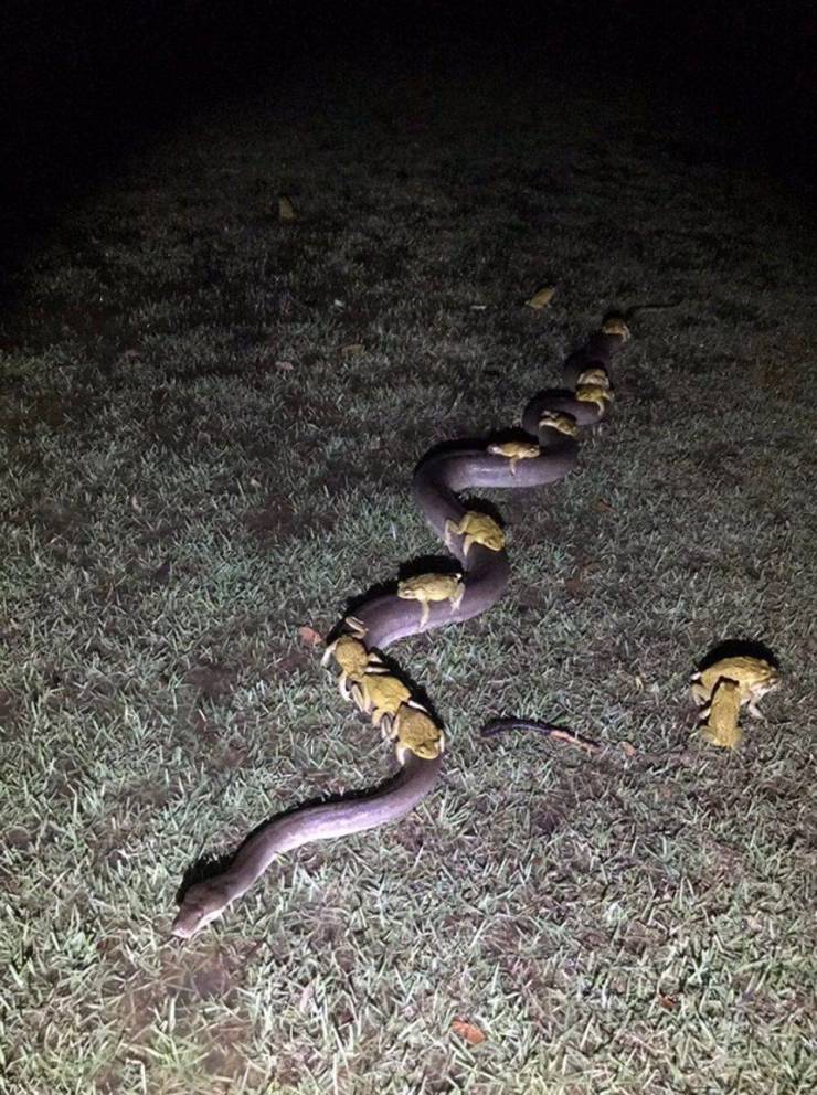 daily picdump 102 pics 39.html - 102 HD Photos | Premium Gallery 2019