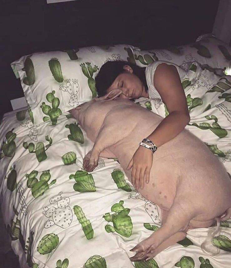 daily picdump 102 pics 39.html - 102 HD Photos | Premium Gallery 2019