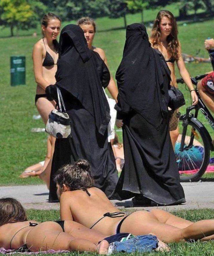 daily picdump 102 pics 39.html - 102 HD Photos | Premium Gallery 2019