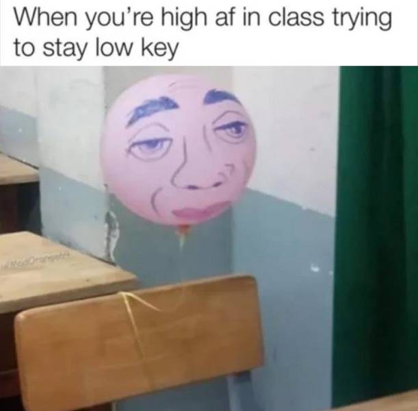 funny picdump 52 pics 1.html - 52 HD Photos | Premium Gallery 2019